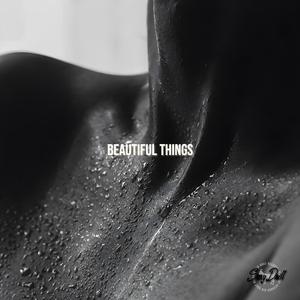 Beautiful Things (Sexy Drill)