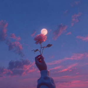 Moonlight