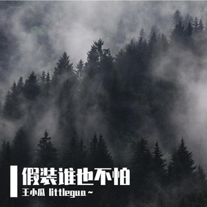 两手插兜假装谁也不怕-完整