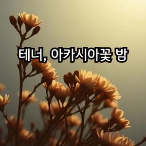 테너, 아카시아꽃 밤