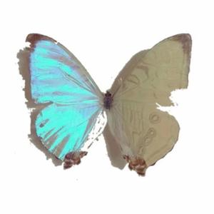 L.O.S.T(prod by ITS Jie.Z)