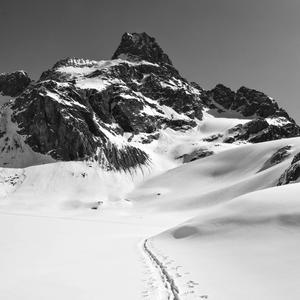 A Short Visit to Elsewhere