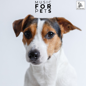 Peaceful Music For Pets