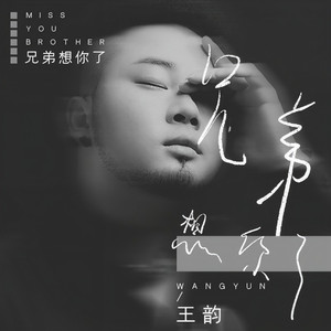 兄弟想你了 (DJ阿圣版)