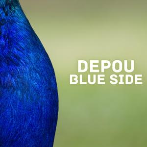Blue Side