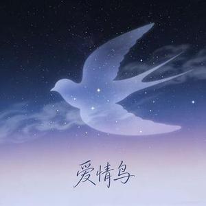 爱情鸟 (烟嗓男声版)