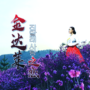 金达莱之恋
