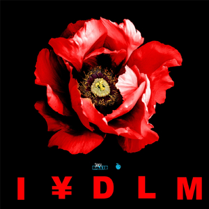 IYDLM