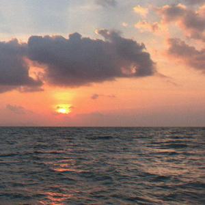 你回头，我在！