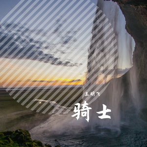 骑士