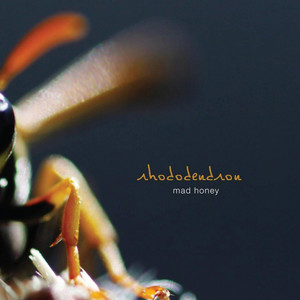 The Sudden and Unexplainable Desire to Sell a Camel