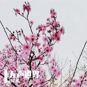 那个他 （cover：赵泳鑫）