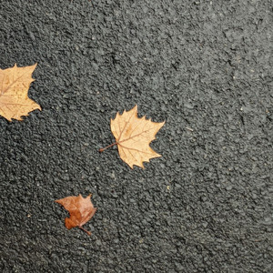 下个星期去英国