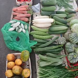 我来人间摆地摊