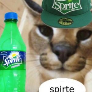 metade humano metade sprite