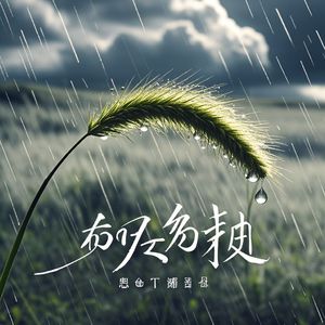 狗尾草-张博宇