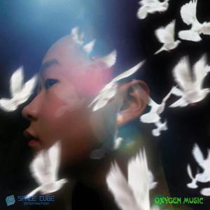 白鸽【White Dove】