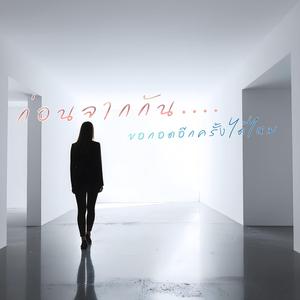 ก่อนจากกัน ขอกอดอีกครั้งได้ไหม