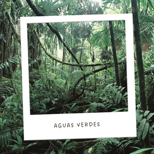 Aguas Verdes