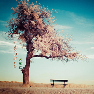 特别关心提示音