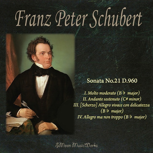 슈베르트 피아노 소나타 21번 2악장 Sonata No.21 D.960 II. ..