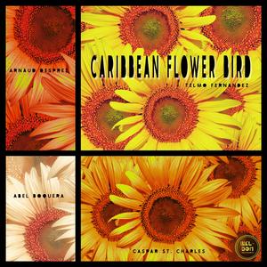 Caribbean Flower Bird
