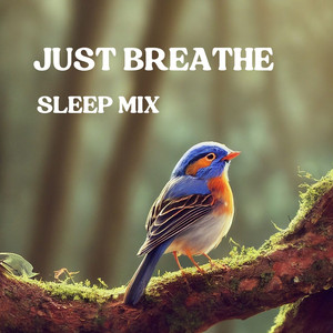 Breathful Calm