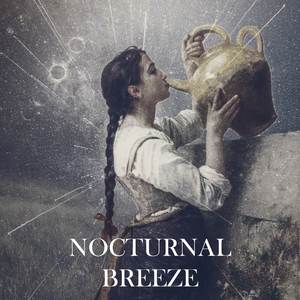 Nocturnal Breeze