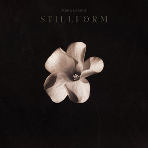 Stillform