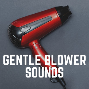 Sleep Hair Dryer Sounds