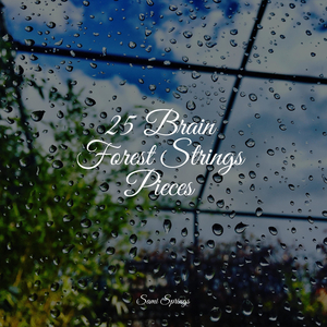 Small Ocean Waves Lapping