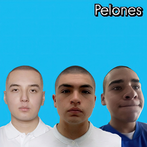 _p3l0n3s_(๑•́_•̀๑)