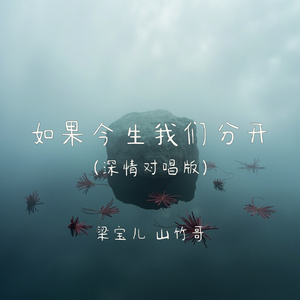 如果今生我们分开(深情对唱版)