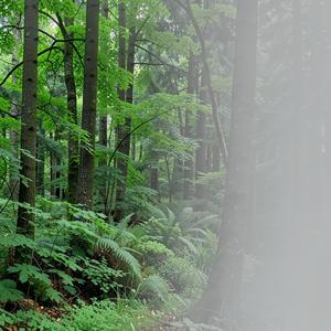 MEANT TO BE REMEMBERED