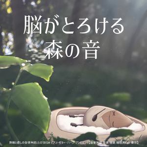 Radiance (自律神経を整えるピアノと森・鳥)