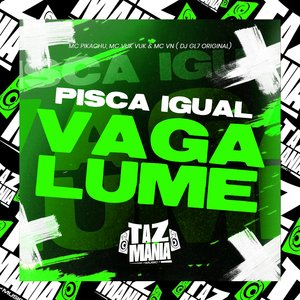 Pisca Igual Vagalume
