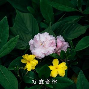 音乐的治愈力量