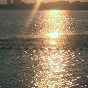 举镜子的女孩（翻自 张子枫）