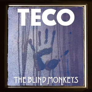 Teco (Radio Version)