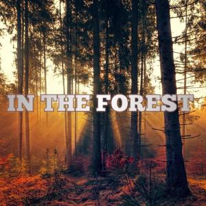 In the Forest