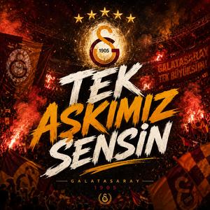 Tek Aşkımız, Sensin