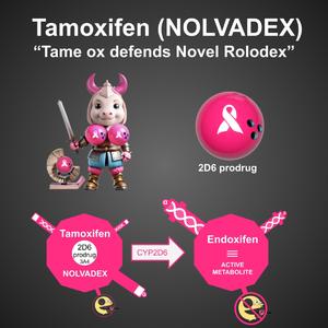 Tamoxifen (Grungy Version)