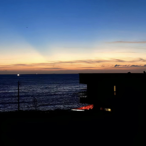 凭这几句晚安我竟敢梦见未来