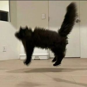 于是（cover：郑润泽）