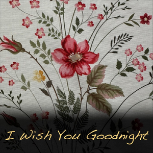 I Wish You Goodnight