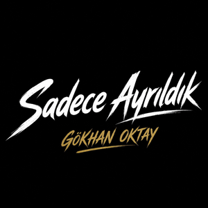 Sadece Ayrıldık