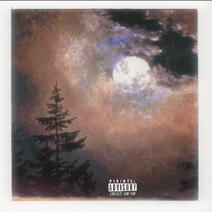 太久了只记得你的好