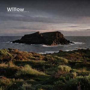 Willow