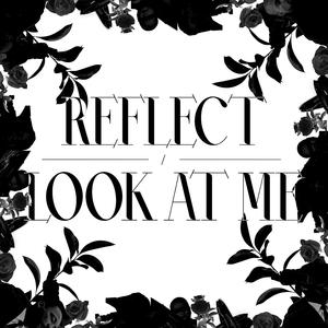 R E F L E C T / L O O K A T M E