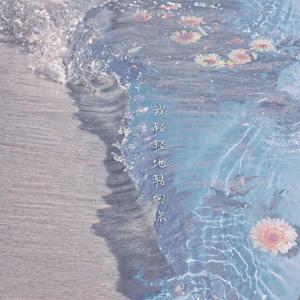 我轻轻地转向你